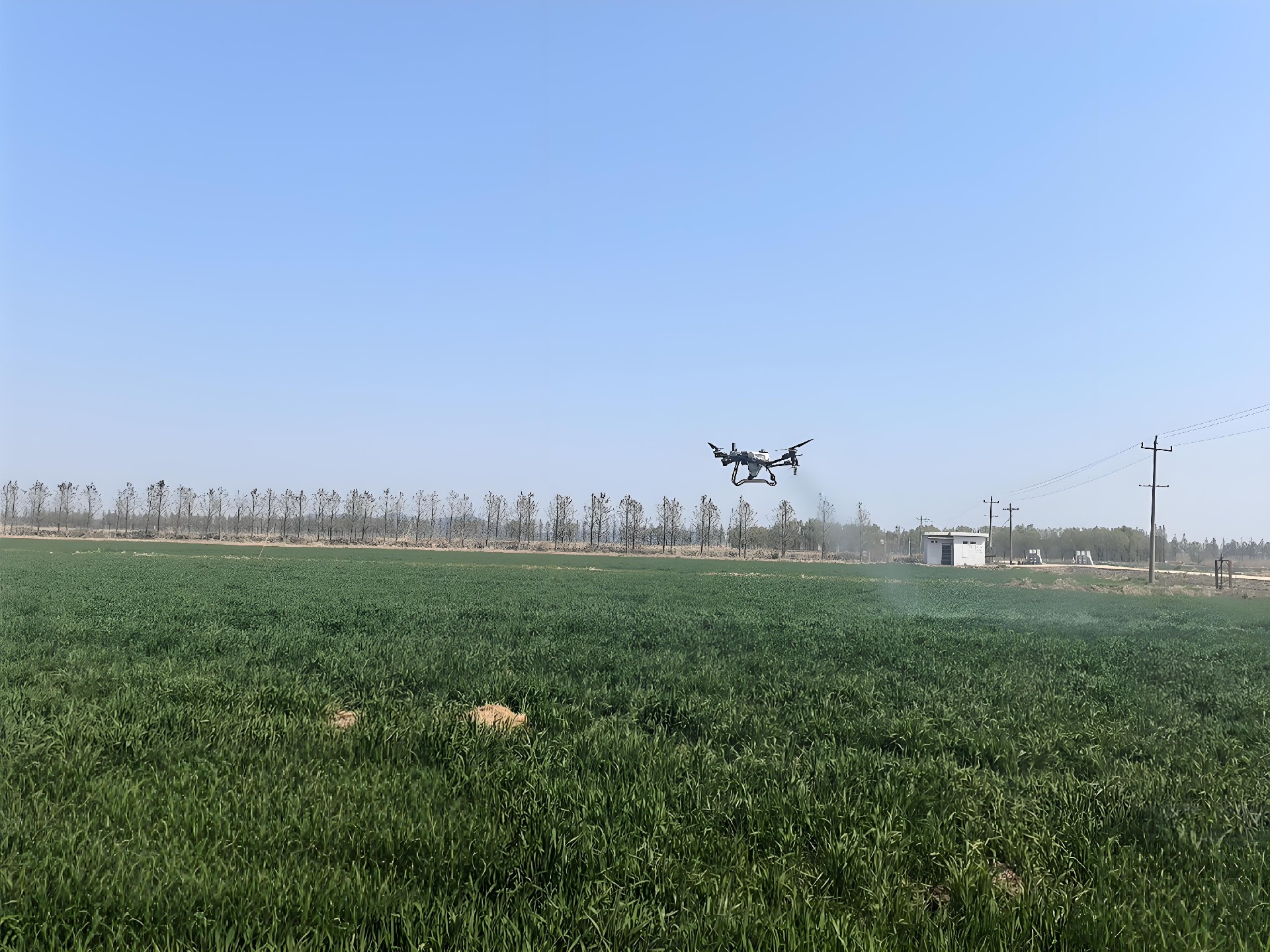 生物有机肥产品特点